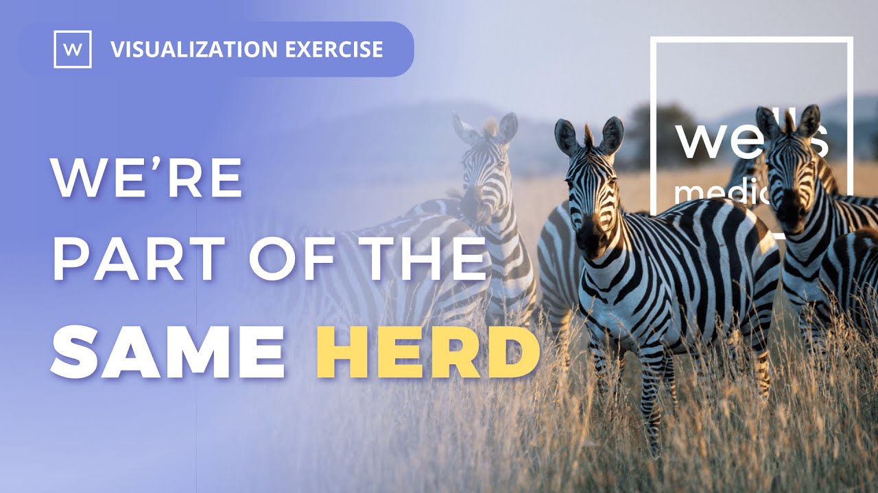 Walking as a Herd - Visualization Exercise