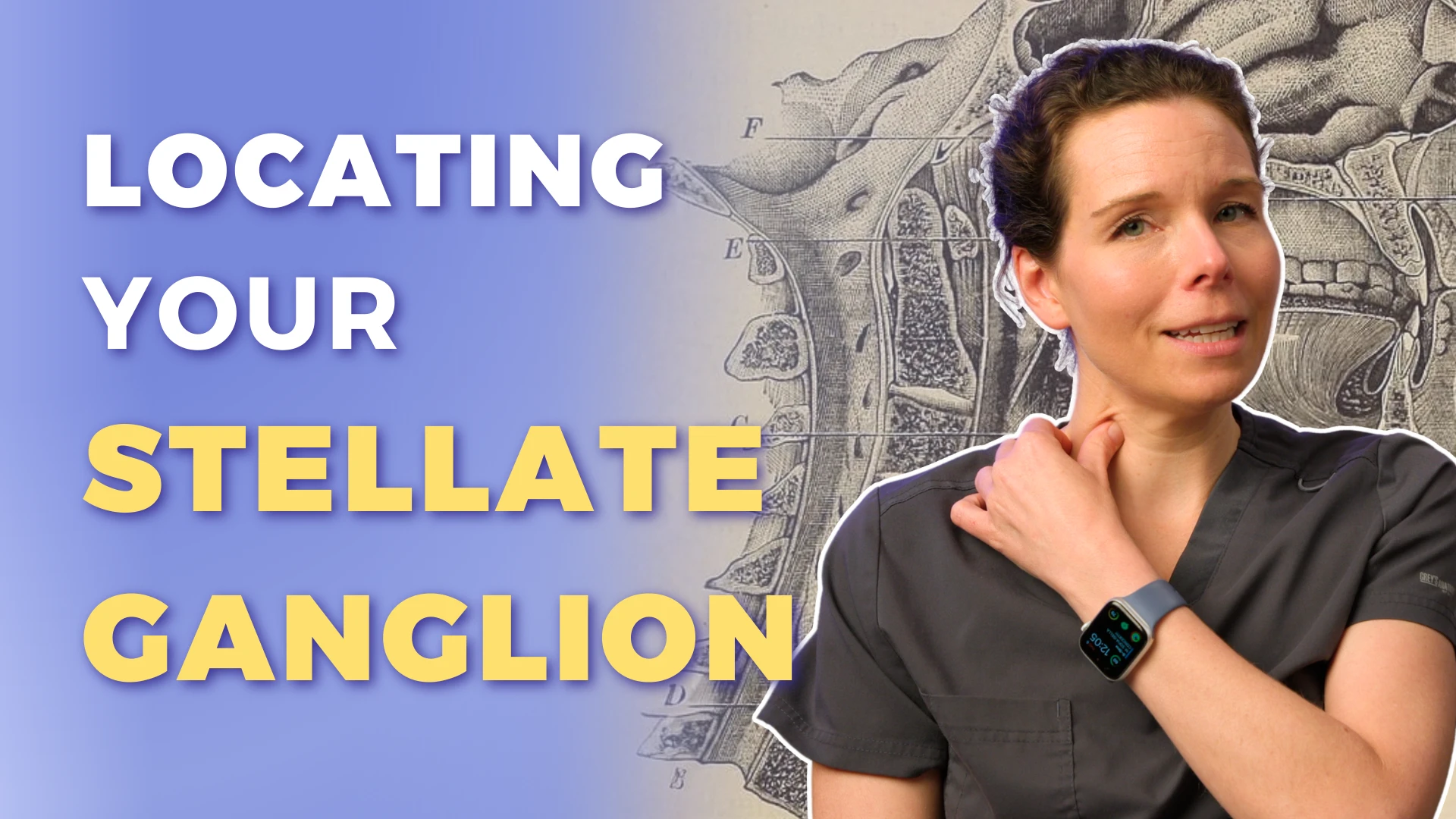 How to find your own stellate ganglion - Wells Medicine
